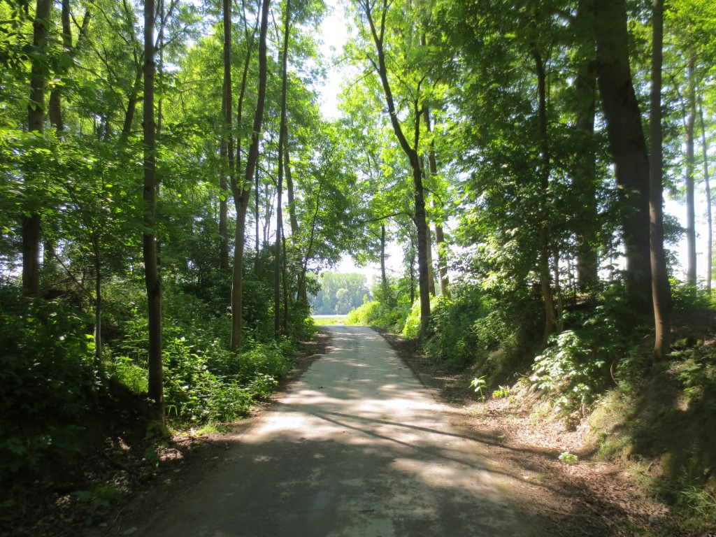 IMG_3285 (Medium)