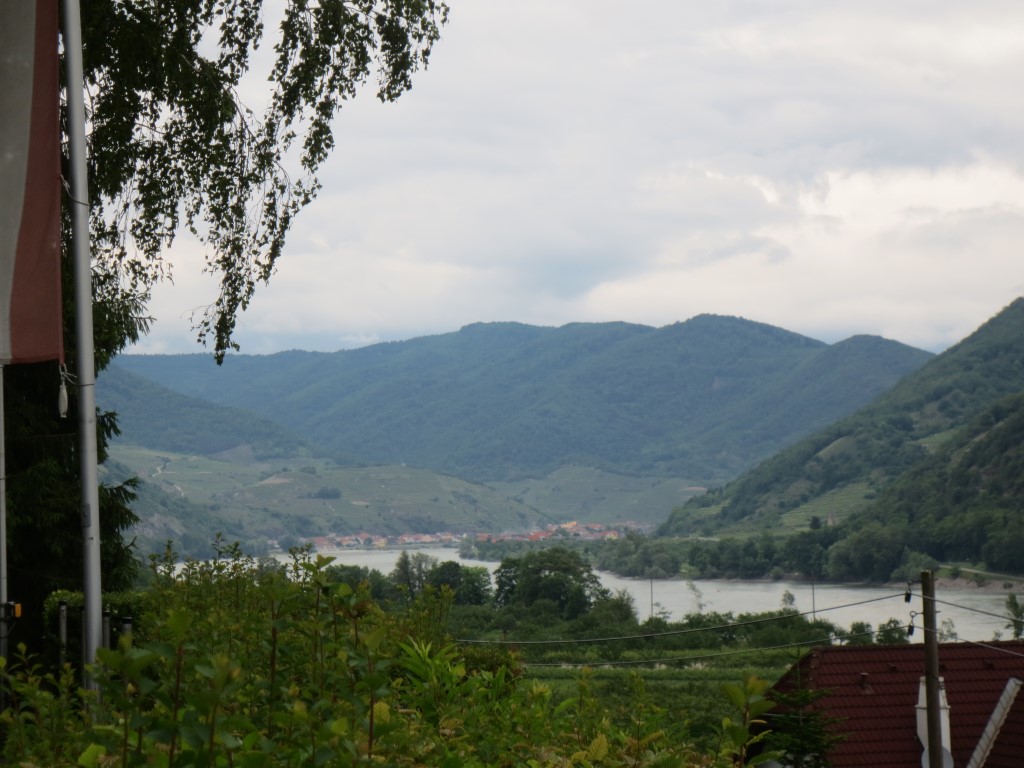 IMG_3309 (Medium)