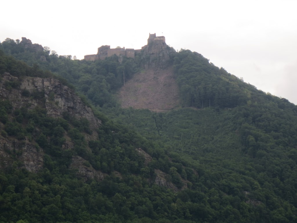 IMG_3311 (Medium)