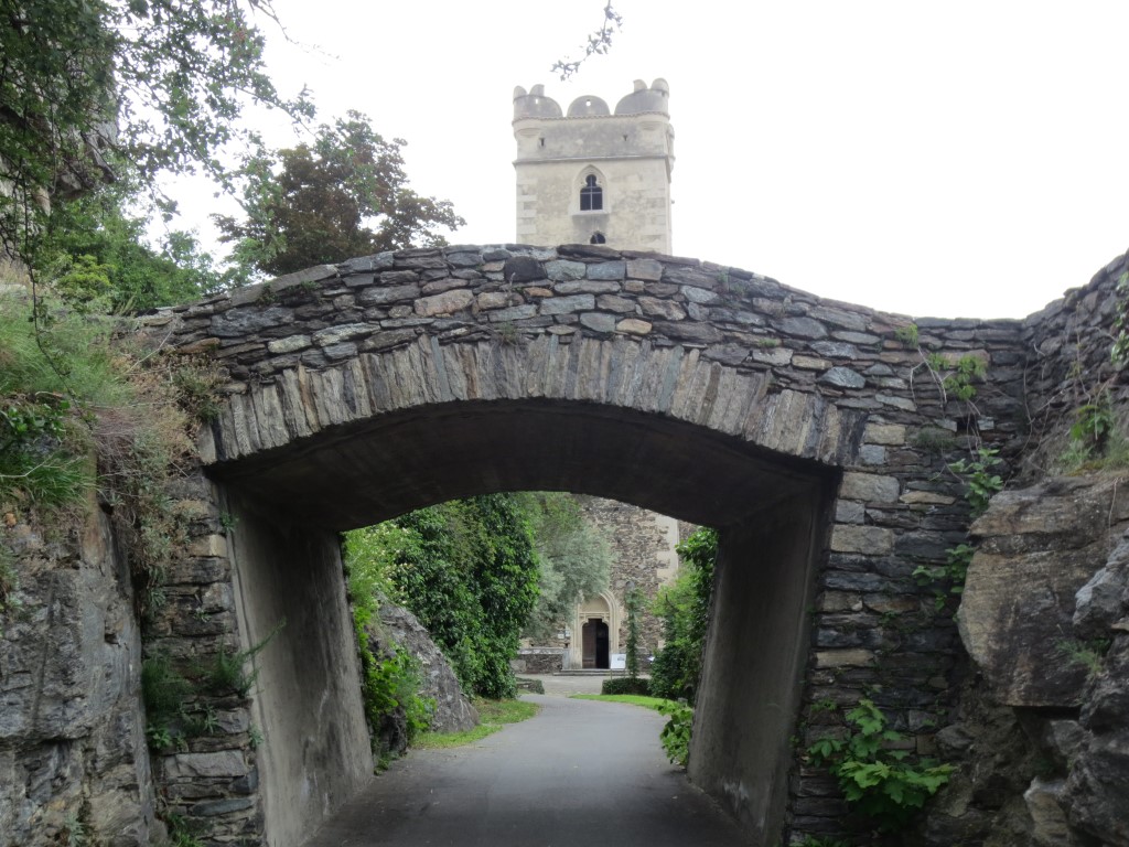 IMG_3315 (Medium)