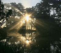 i-f64fc05f2b936d9fa5bc7d665a2782ce-691px-Crepuscular_Rays_in_GGP-thumb-200x173.jpg
